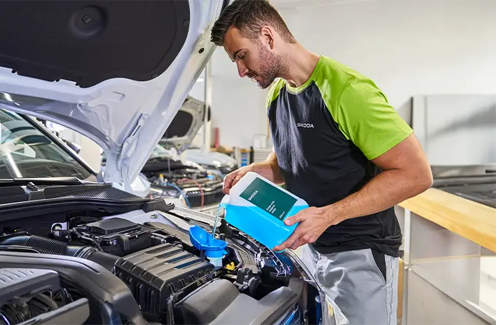 Specjalnie dla naszych Klientów